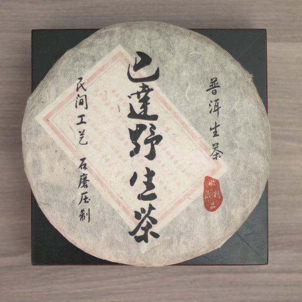 2009 BaDa Wild (巴達野)