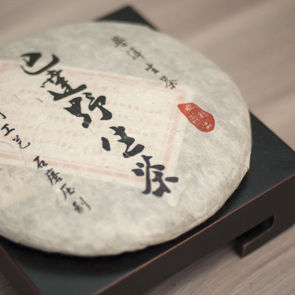 2009 BaDa Wild (巴達野)