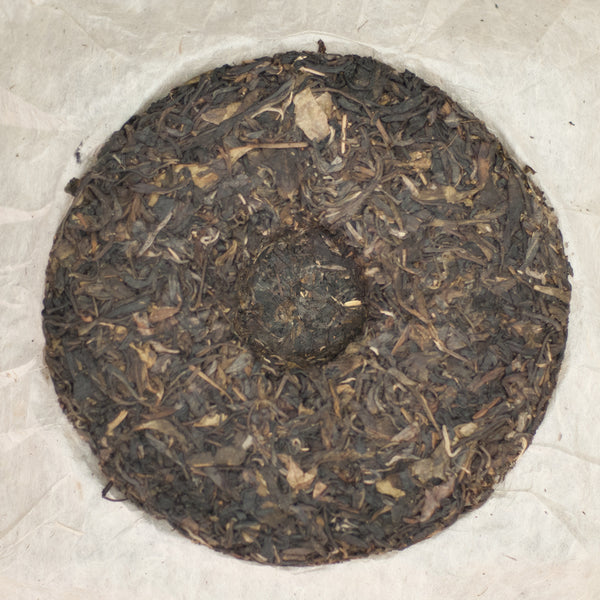 2009 BaDa Wild (巴達野)